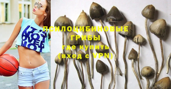 крисы Приозерск