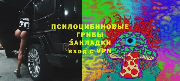 крисы Приозерск